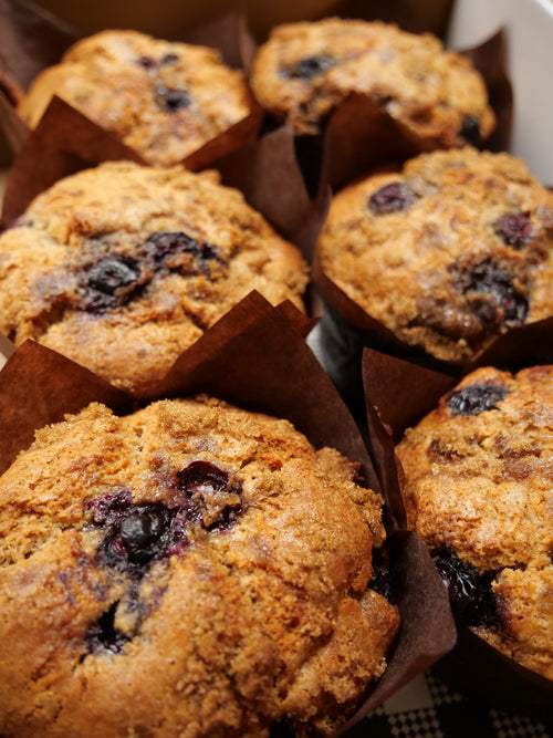 Blueberry Muffin